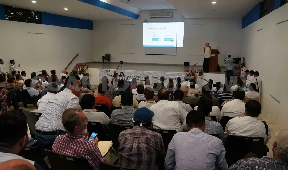 Agricultura, asunto central para el desarrollo del país