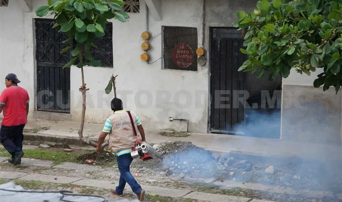 Suman seis muertos por dengue en Chiapas