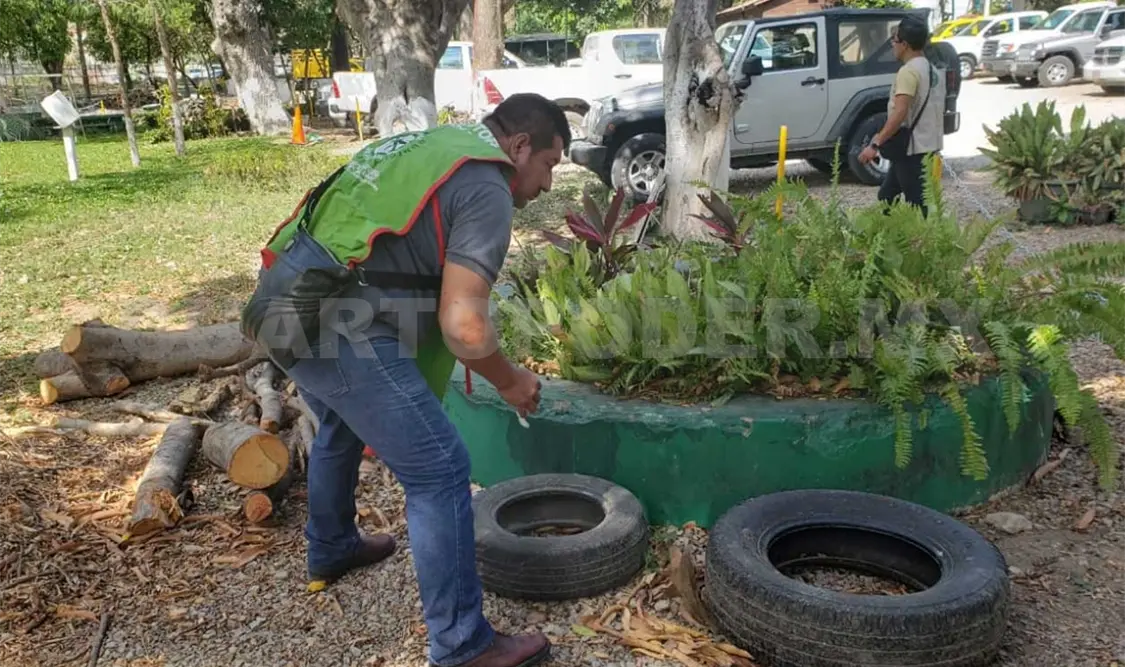 Reforzarán acciones contra Dengue, Zika y Chikungunya