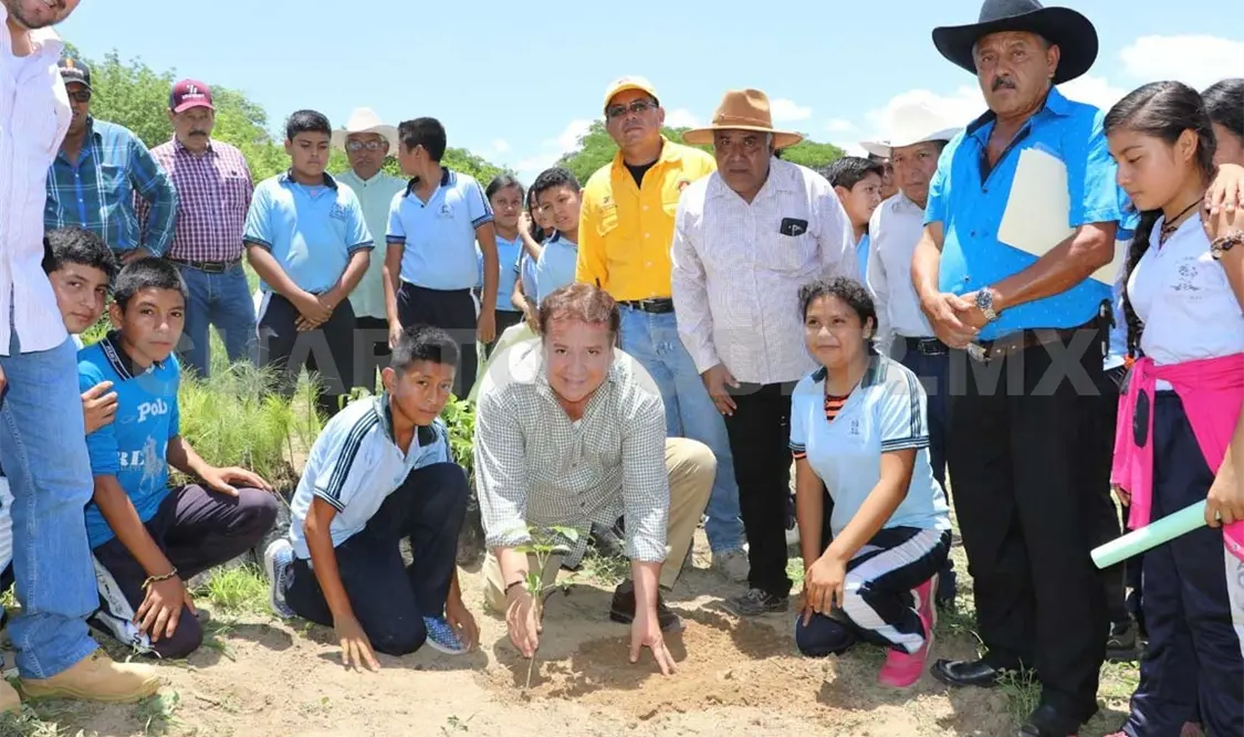 Rosales Zuarth, sigue campaña de reforestación