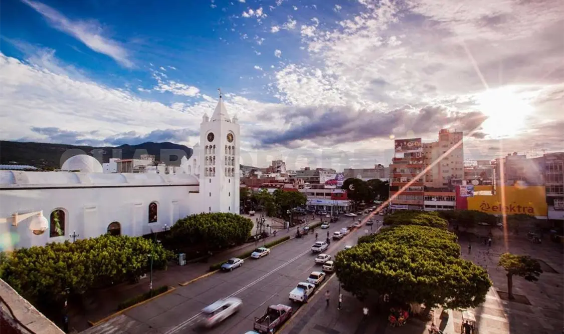 La reforestación debe hacerse también con mayor empeño dentro de la zona urbana. CP