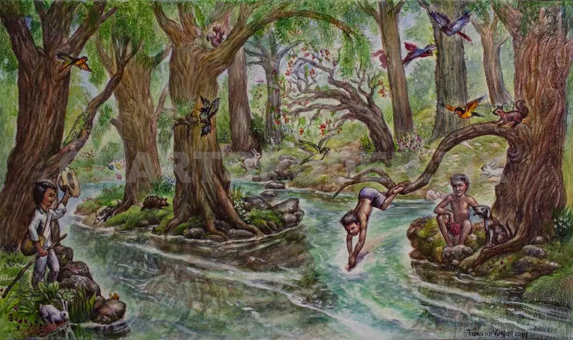Las deforestaciones en Tuxtla Gutiérrez
