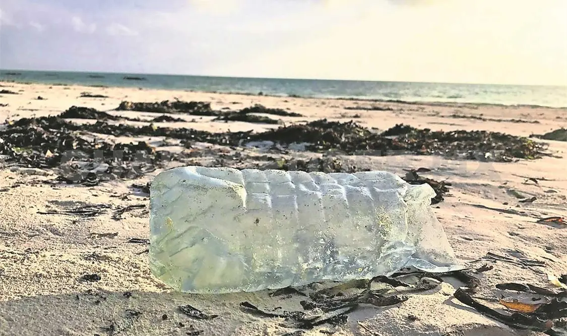 Llegan toneladas de basura a las playas
