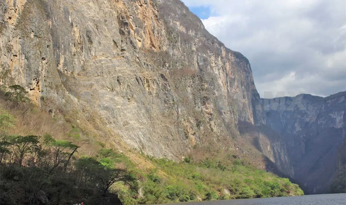 Cañón del Sumidero, devorado por 91 colonias