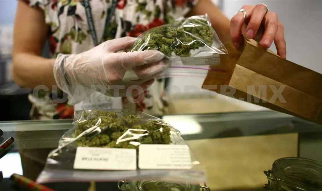 Realizarán foro sobre cannabis medicinal