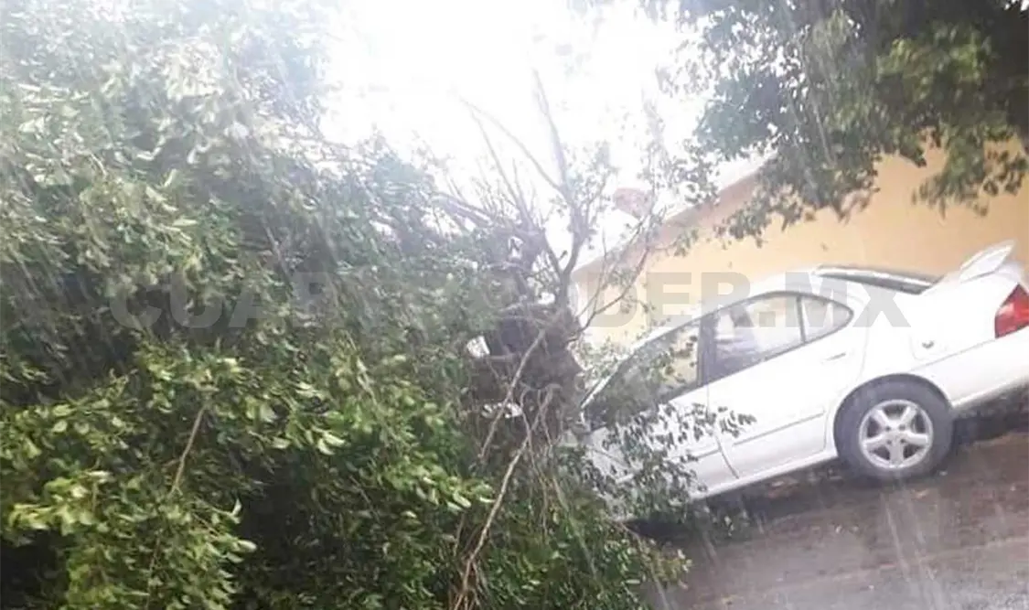 Continúan afectaciones por lluvias en la capital