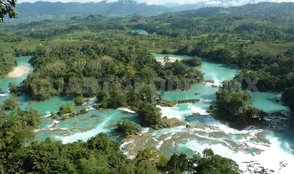 El objetivo del Maracc es recuperar la capacidad de masa forestal de Chiapas. CP