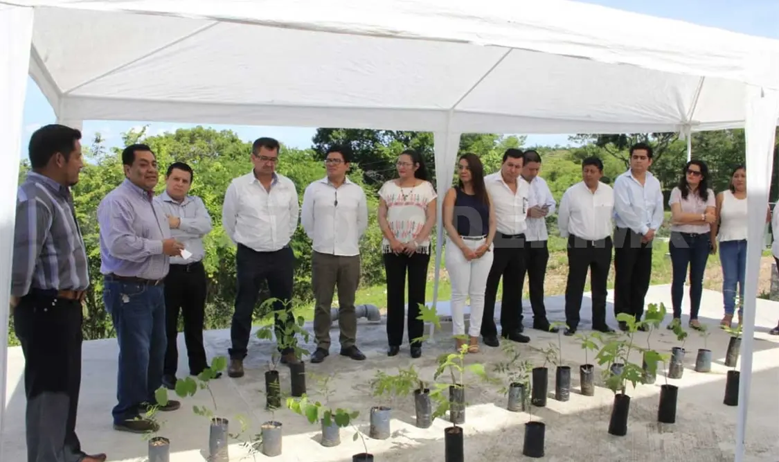 Delegaciones del PJE se suman a reforestación