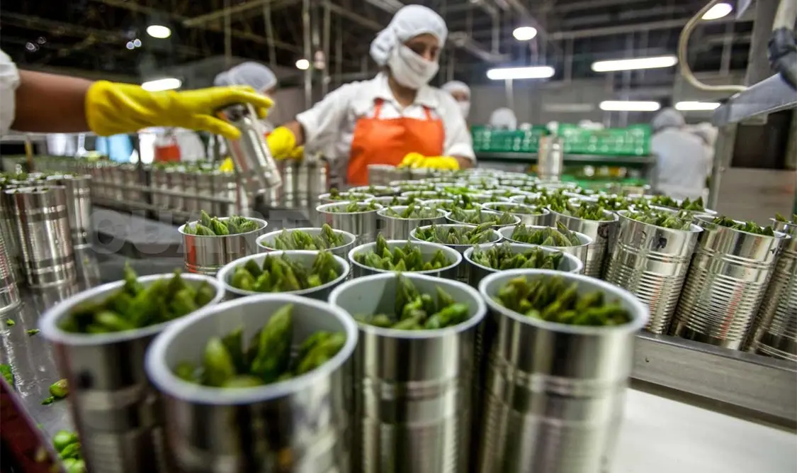 Agroindustria no es prioridad de la 4T: CNA