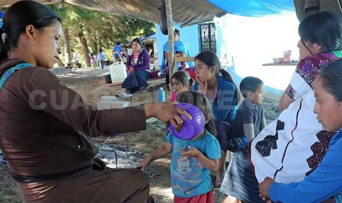 Urgen al Estado mexicano “garantizar la vida, seguridad e integridad personal de las comunidades afectadas”. CP