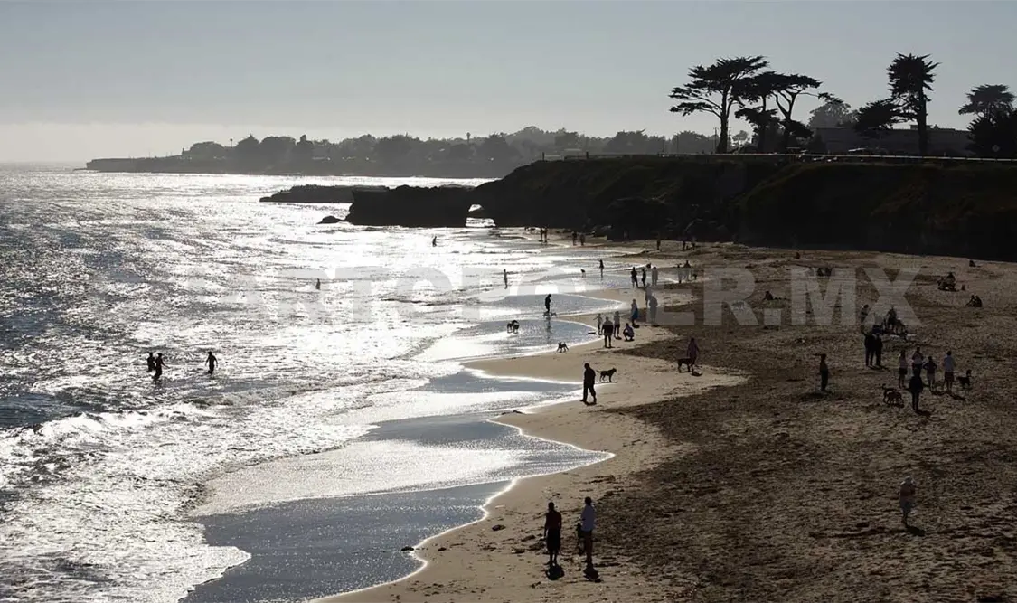 Piden evitar playas con exceso de bacterias