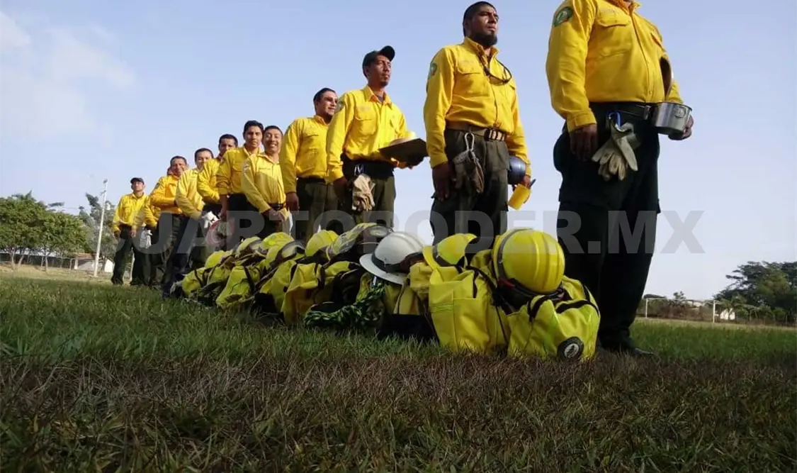 Descartan despidos de empleados en Conafor