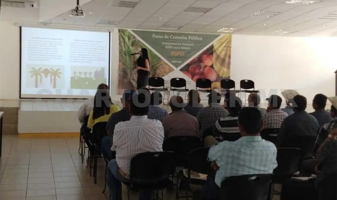 Productores realizan foro de palmicultura