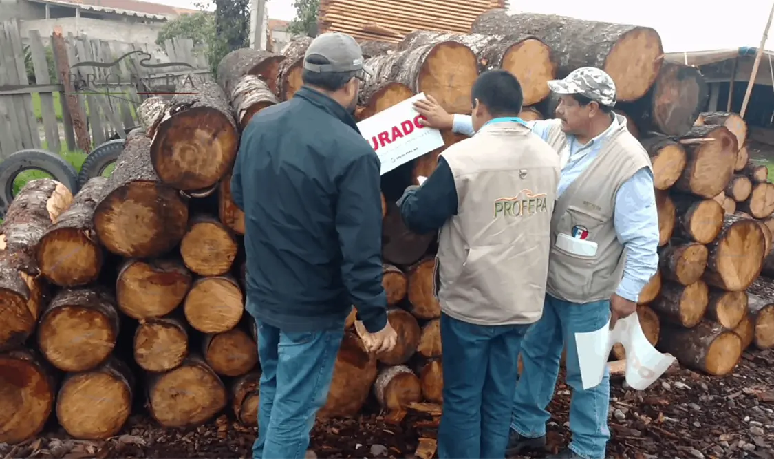 La Fiscalía trabajará de la mano con la Mesa de Seguridad para atender las denuncias de daños al medio ambiente. CP
