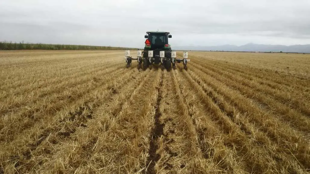 A más de 700 agricultores dedicados al cultivo de soya, la Sader les adeuda más de 30 mdp. C
