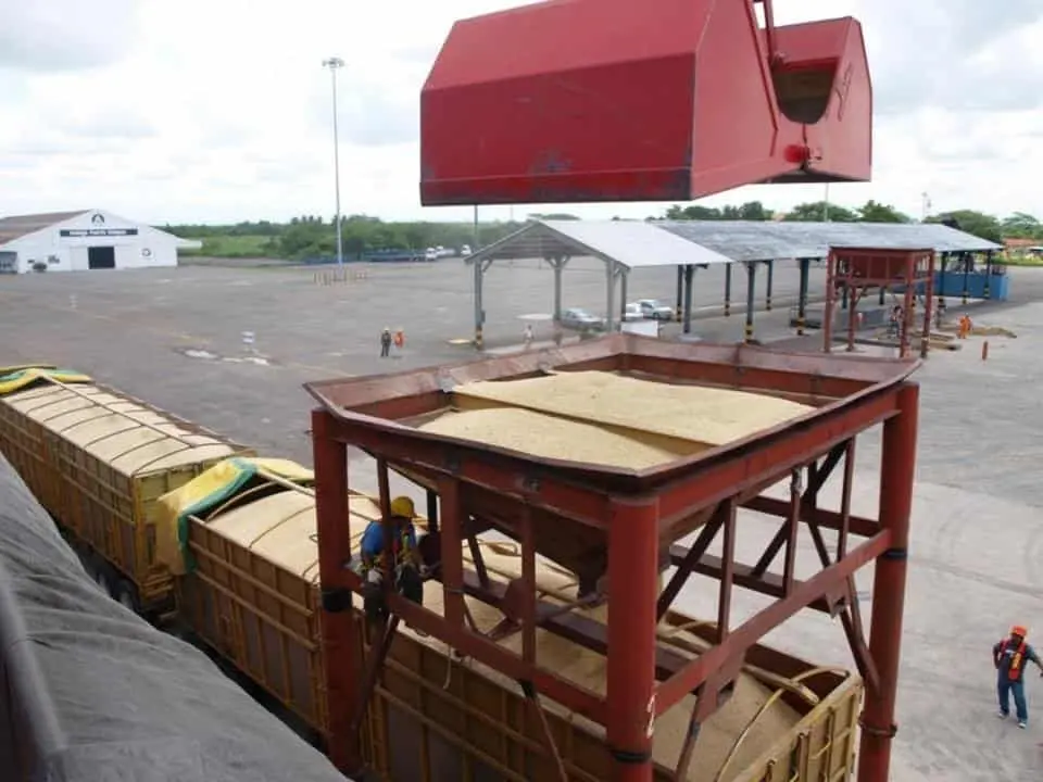 El maíz es el segundo producto de importación agrícola que se descarga en Puerto Chiapas