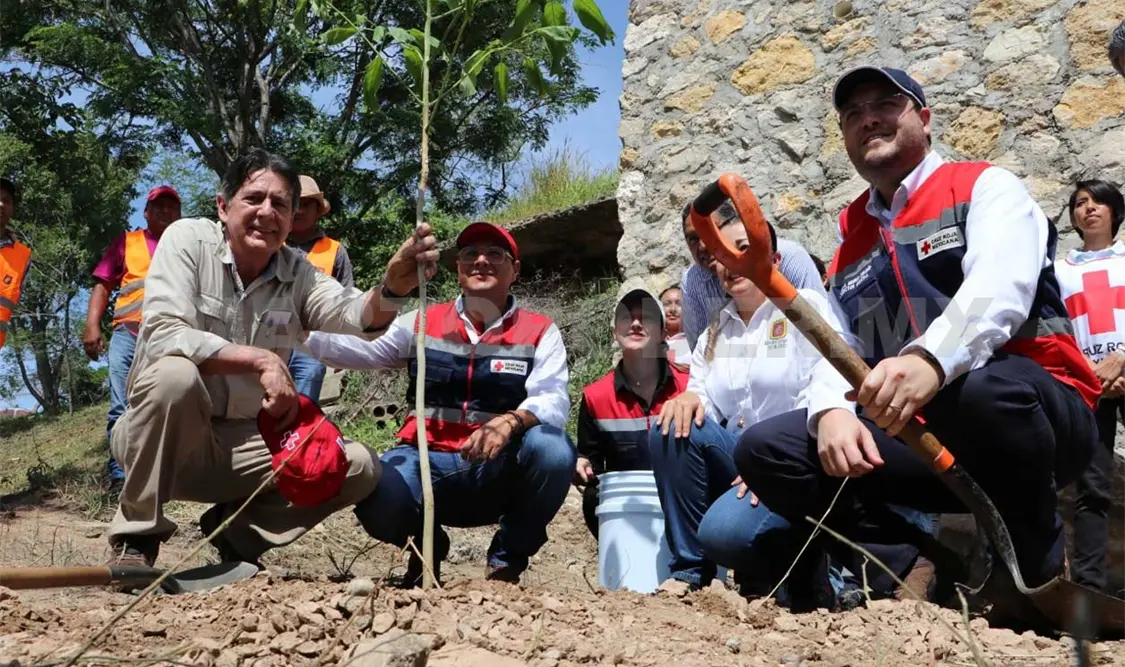 Cruz Roja se suma a las acciones de reforestación