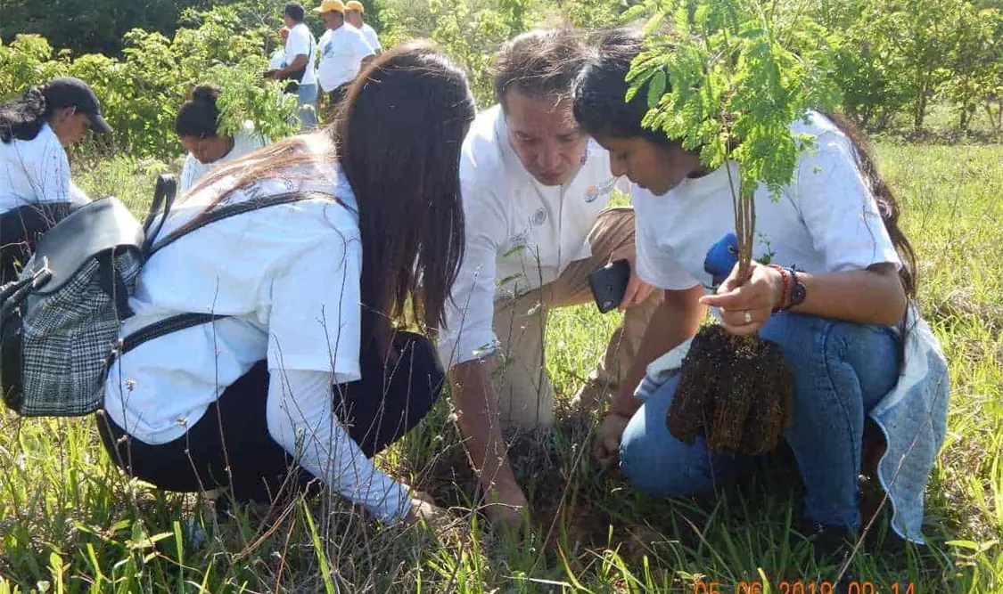 El galardón reconoce el esfuerzo de la sociedad para preservar y restaurar el equilibrio ecológico. Andrés Domínguez / CP