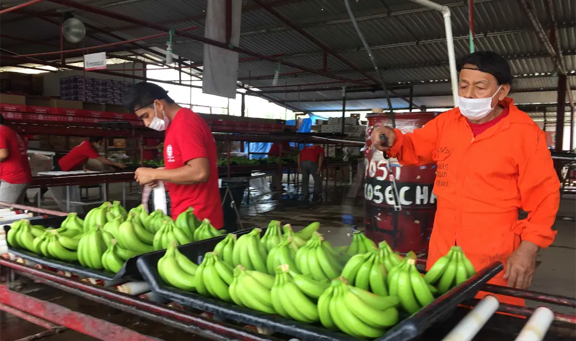 Ante una posible contingencia en el país se estaría aplicando un plan de acción a través del Dispositivo Nacional de Emergencia (DNE). CP