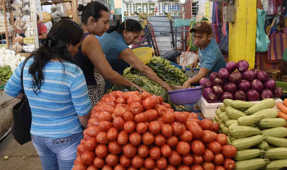 El precio del tomate ha caído derivado de la sequía y la poca exportación. Guillermo Ramos / CP