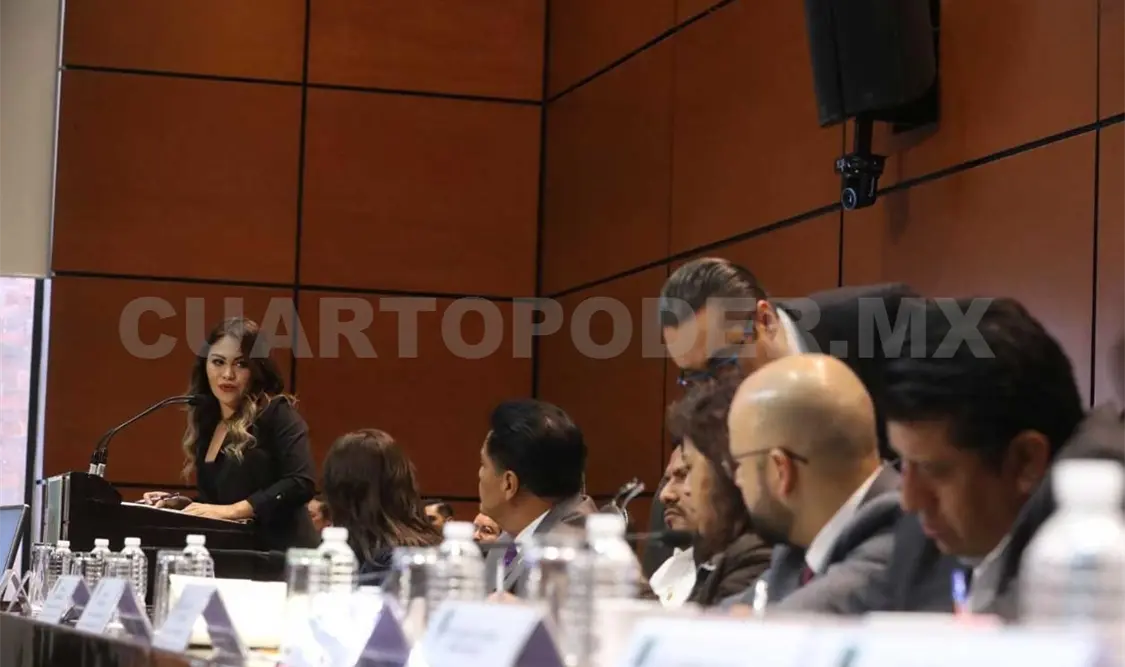Colaboran con leyes secundarias para Reforma