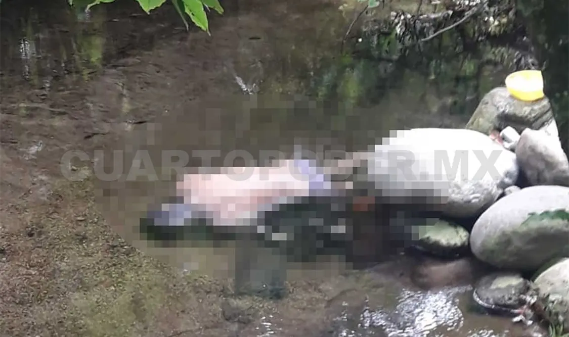 Hallan a hombre ahogado en arroyo