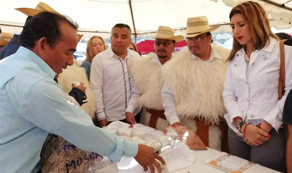 En la feria, efectuada en San Juan Chamula, se realizó la exposición de hongos silvestres y cultivables. CP