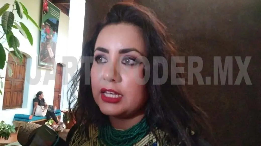 La coordinadora Alejandra Rovelo dijo que no hay que negar que la violencia ha incrementado. Andrés Domínguez / CP