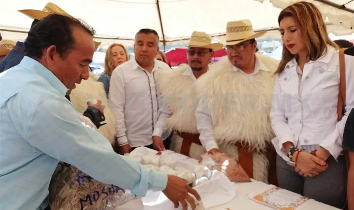 Realizan feria del hongo para prevenir intoxicaciones