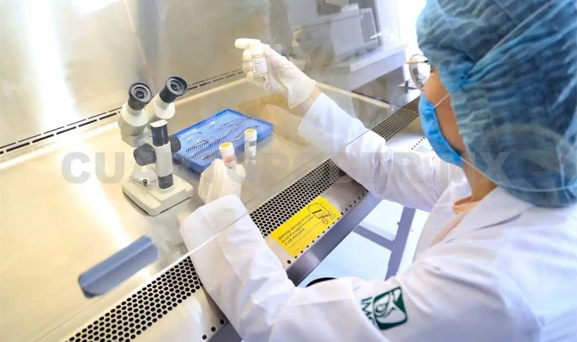 Banco Corneal, con capacidad para más de mil tejidos
