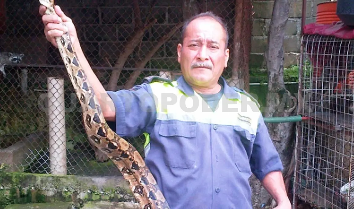 En Tuxtla Gutiérrez es muy común el aseguramiento de serpientes. CP