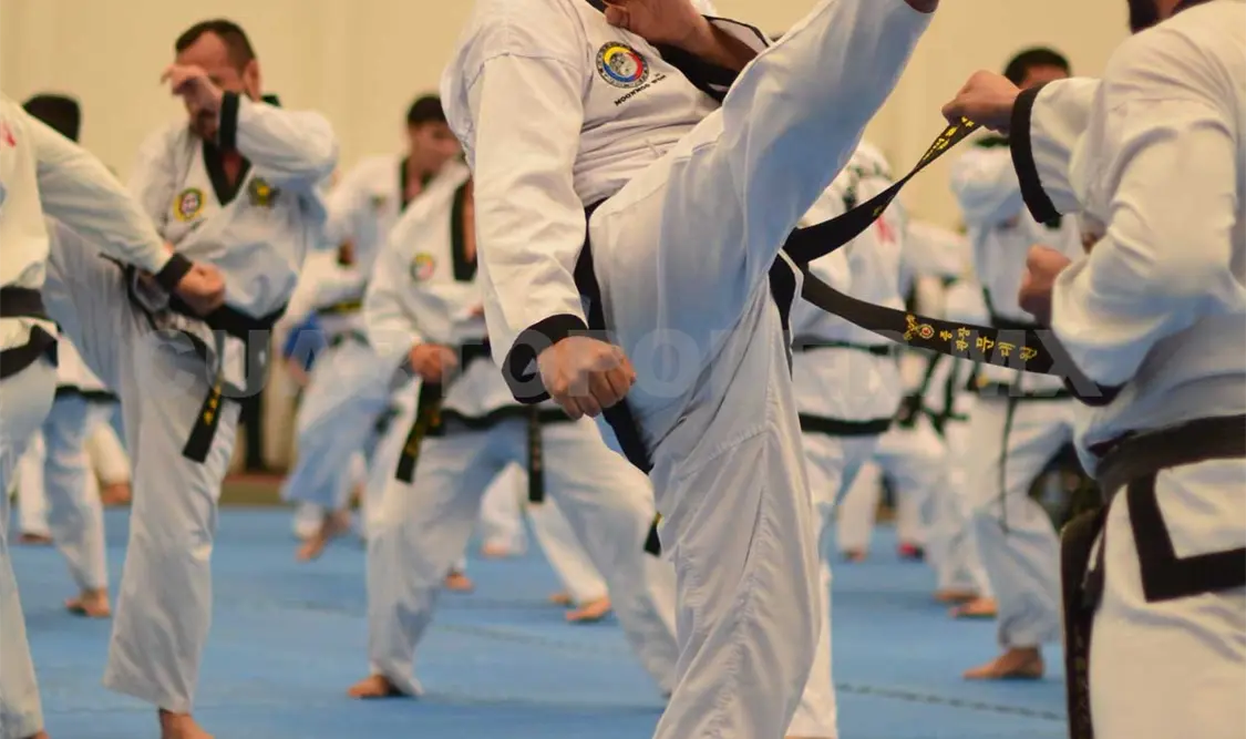 Gran celebración de los 50 años del Tae Kwon Do