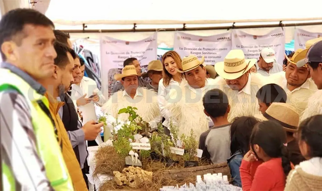 Realizarán Feria Itinerante del Hongo