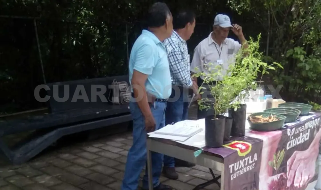 Producen plantas para reforestar la capital