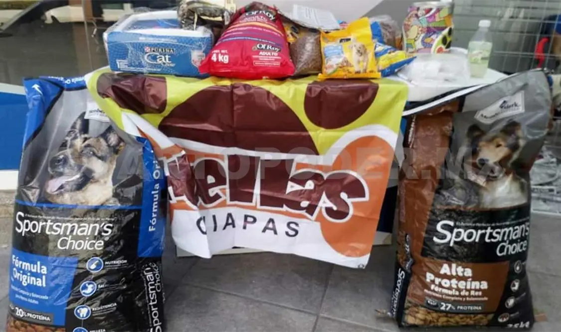 Convocan a colaborar con el “Huellatón 2019”