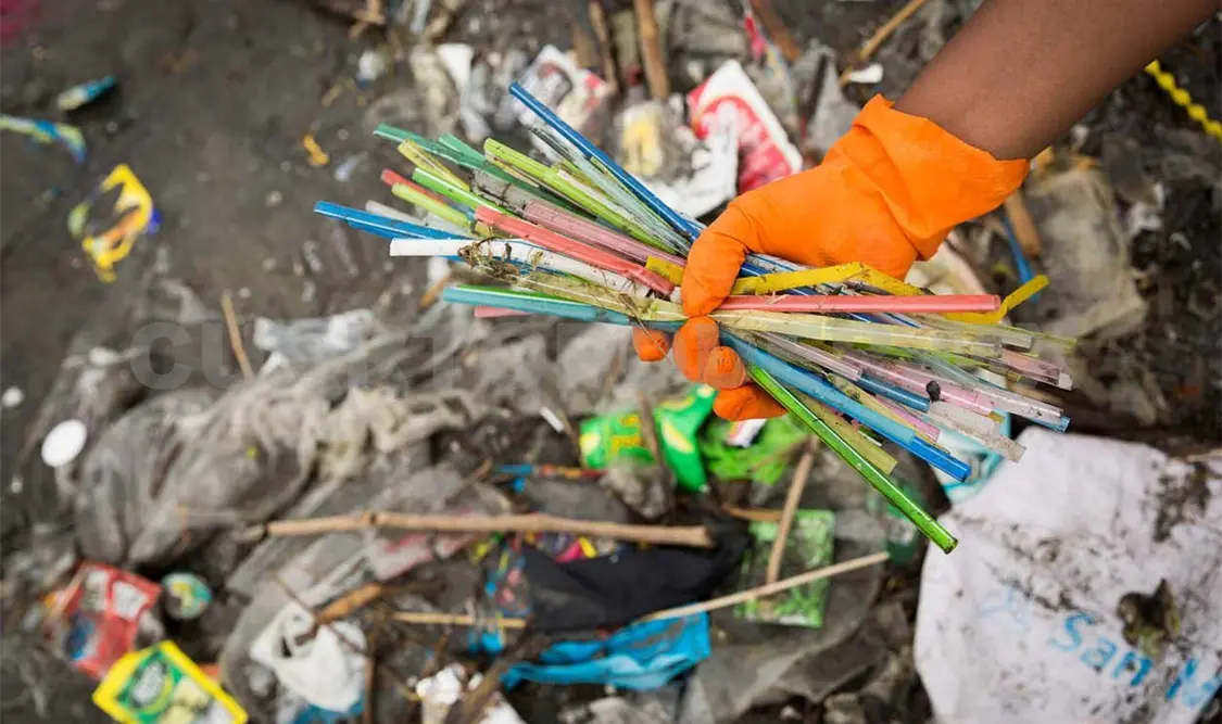 Medio ambiente: cuidarlo también es buen negocio