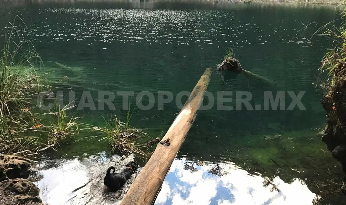 En las próximas semanas tienen programadas diversas acciones para seguir atacando el problema. Cortesía