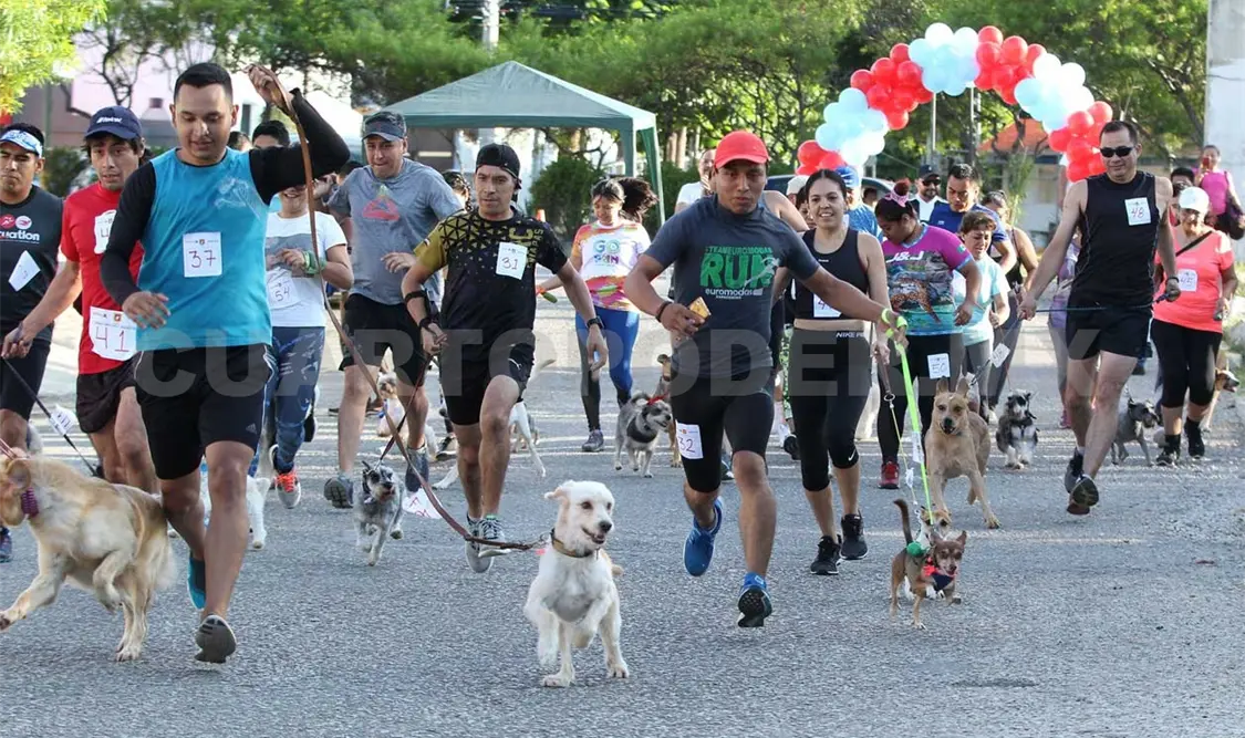 Buena respuesta en la justa Corre con tu Mascota
