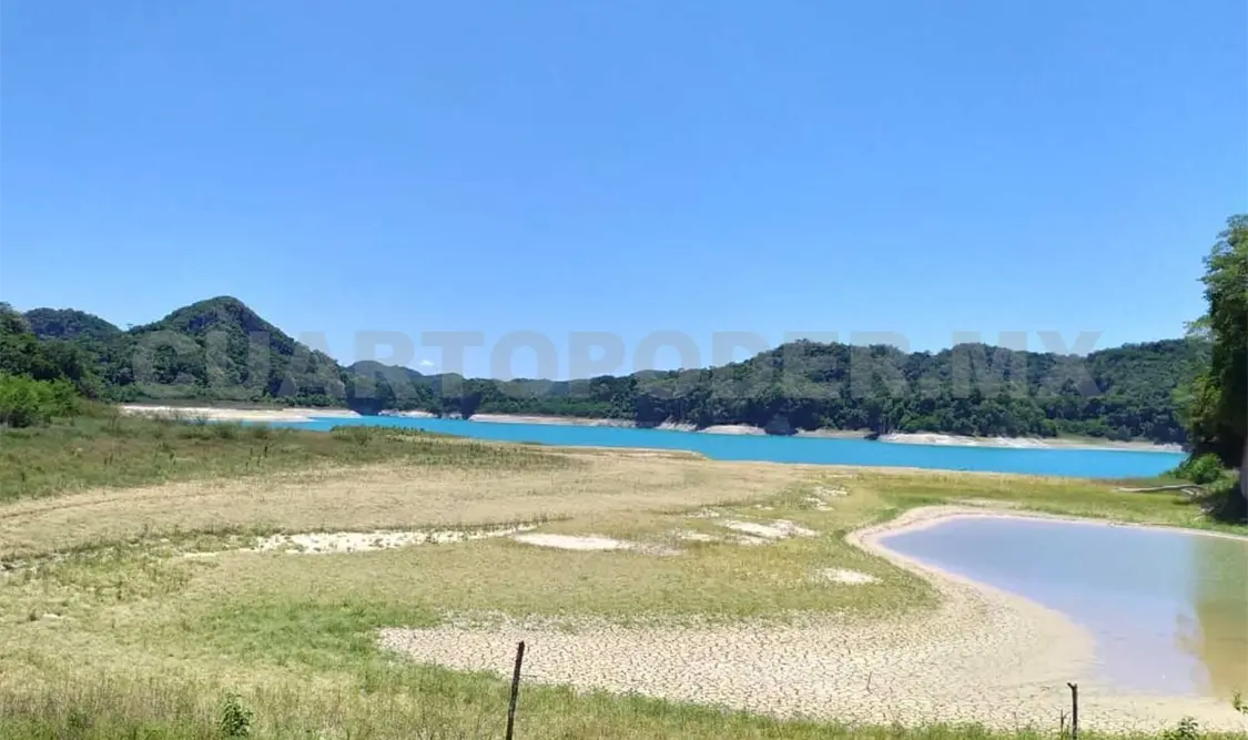 Deforestación está “matando” ecosistemas en Chiapas