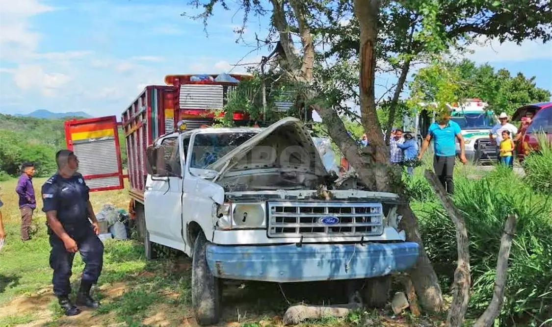 Camión se estrella contra un árbol; dos lesionados