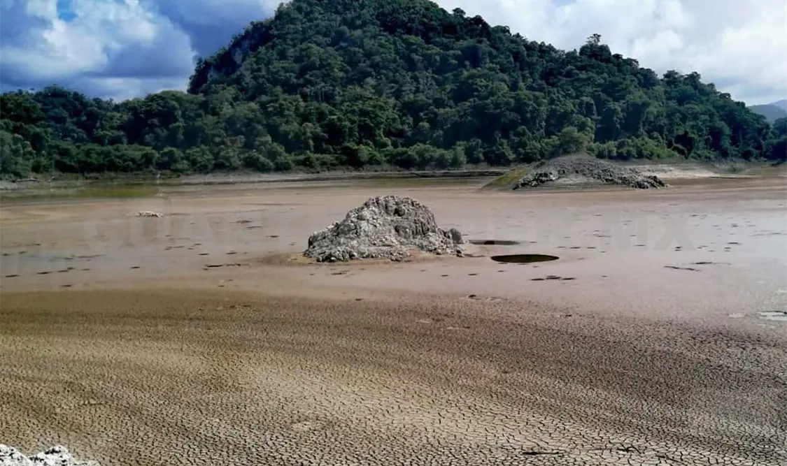 La escasez de precipitaciones, no sólo en la selva sino en la región que va de Centroamérica a América del Norte, es una consecuencia del fenómeno de “El Niño”, de acuerdo con expertos. Agencias