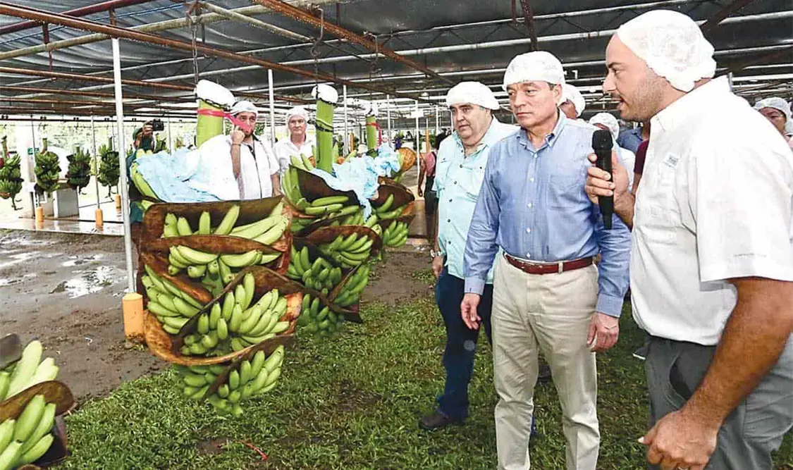 Impulsamos nuevos mercados para productos chiapanecos