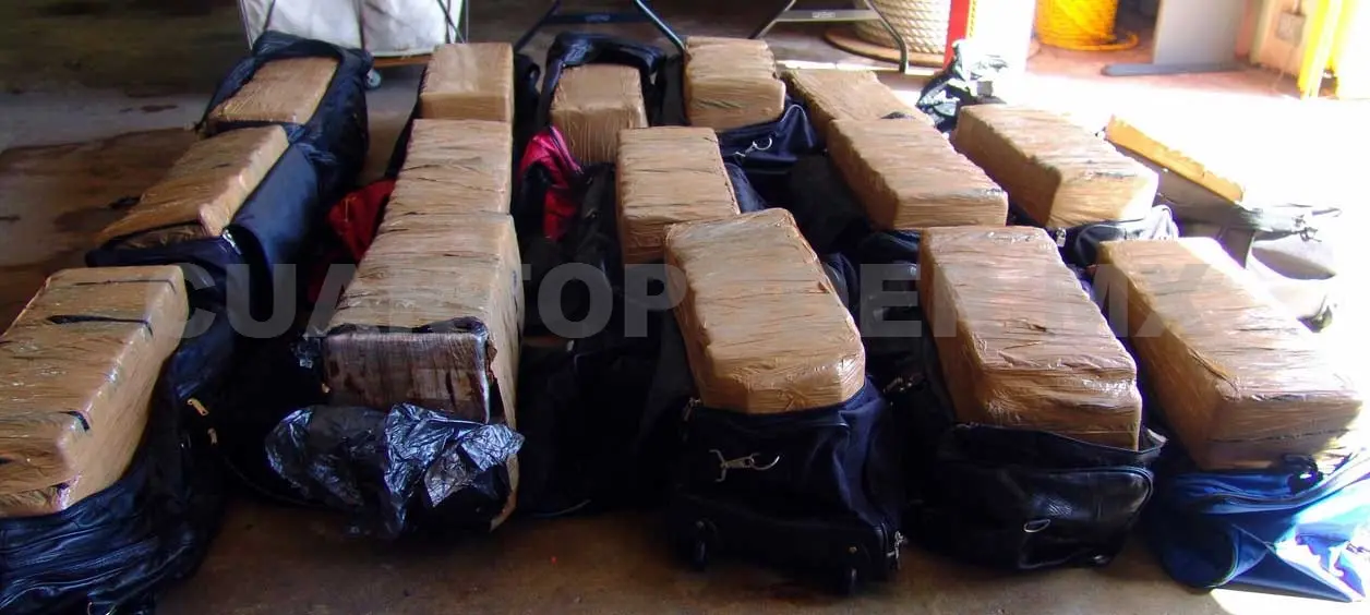 En ocho meses, decomisan 304 mil dosis de drogas en Veracruz