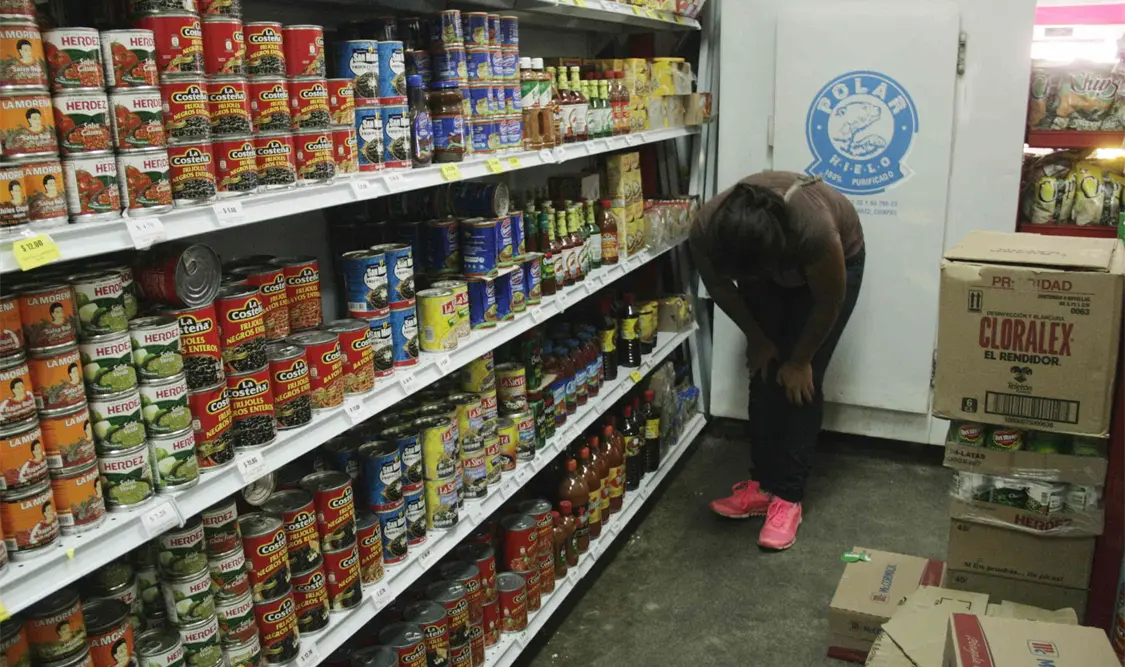 La investigadora recomendó a las familias chiapanecas a priorizar gastos para generar un ahorro. William Chacón / CP