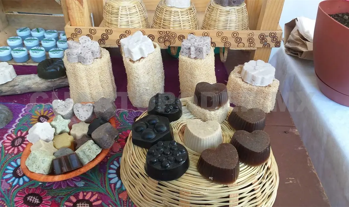 El cacao chiapaneco, con mejor aroma