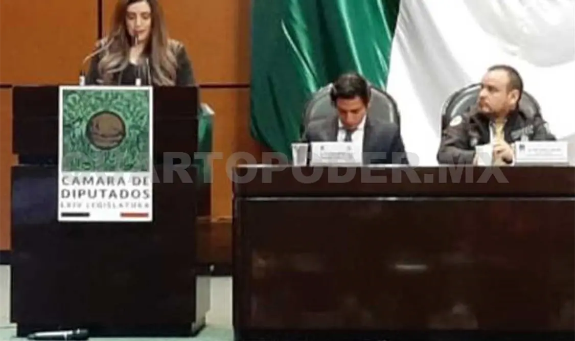 Diputada chiapaneca asiste al Congreso de la Unión