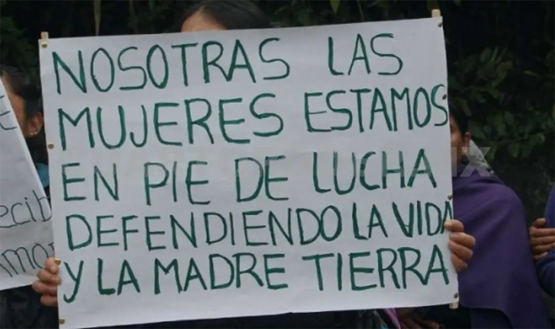 Ser ambientalista, un riesgo latente