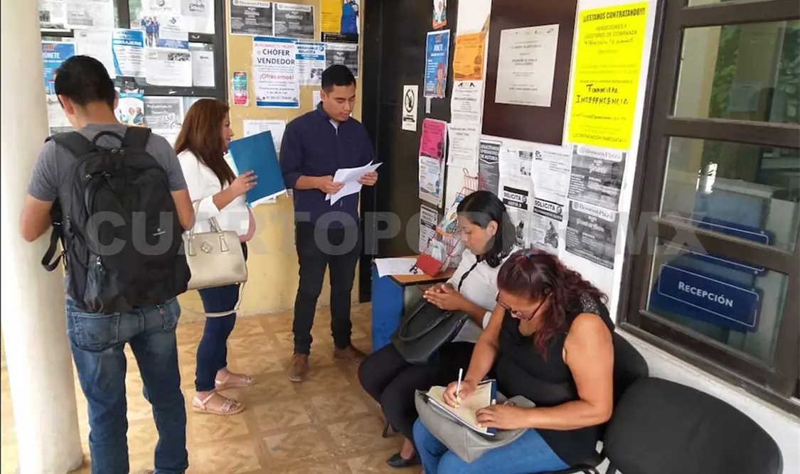 Logran vincular en agosto a 264 personas a un empleo