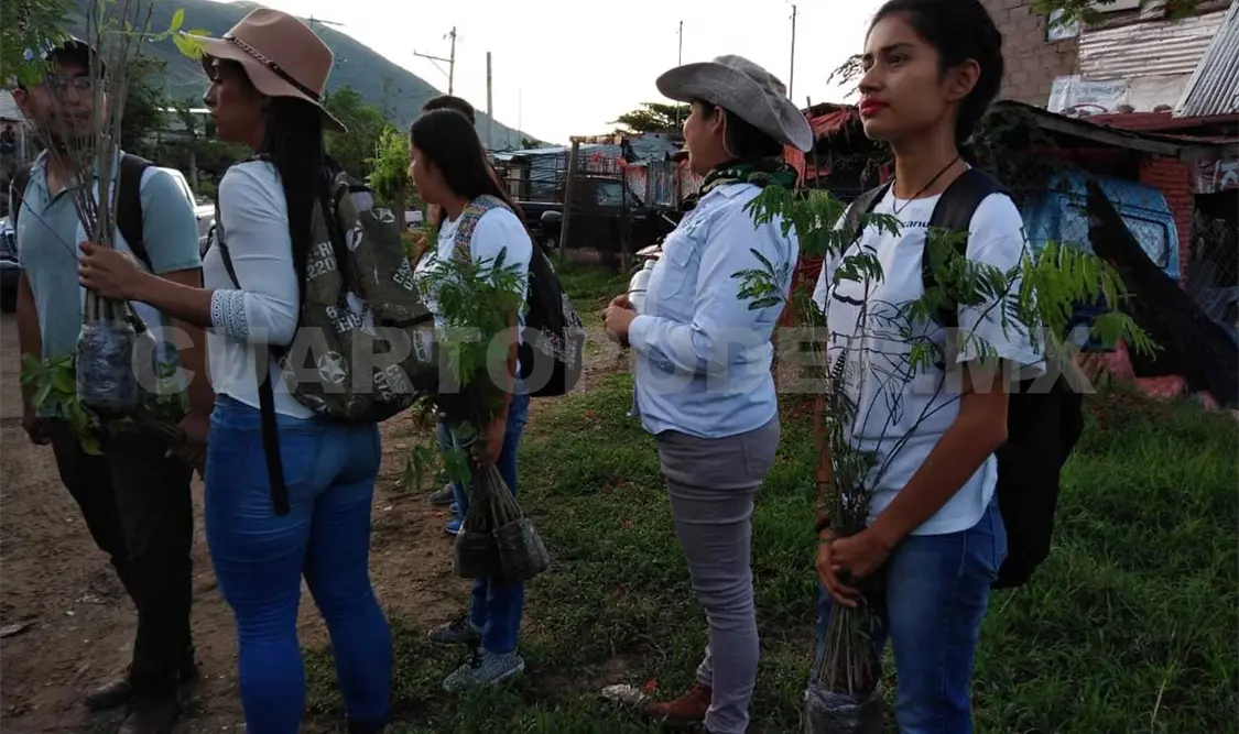Ayuntamientos incumplen en plan estatal de reforestación