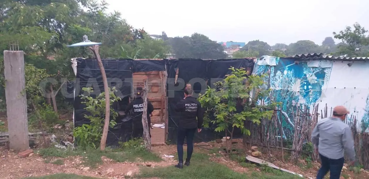 Suman más de 5 mil hectáreas recuperadas